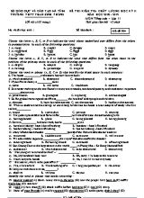 Đề kiểm tra chất lượng học kì II môn Tiếng Anh Lớp 11 - Mã đề 004 - Năm học 2018-2019 - Trường THPT Phan Đình Phùng